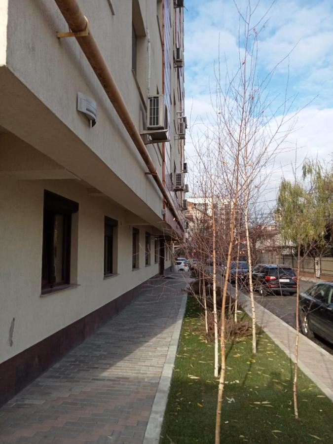 Palas View Apartments Near Palas Mall Iasi Eksteriør billede
